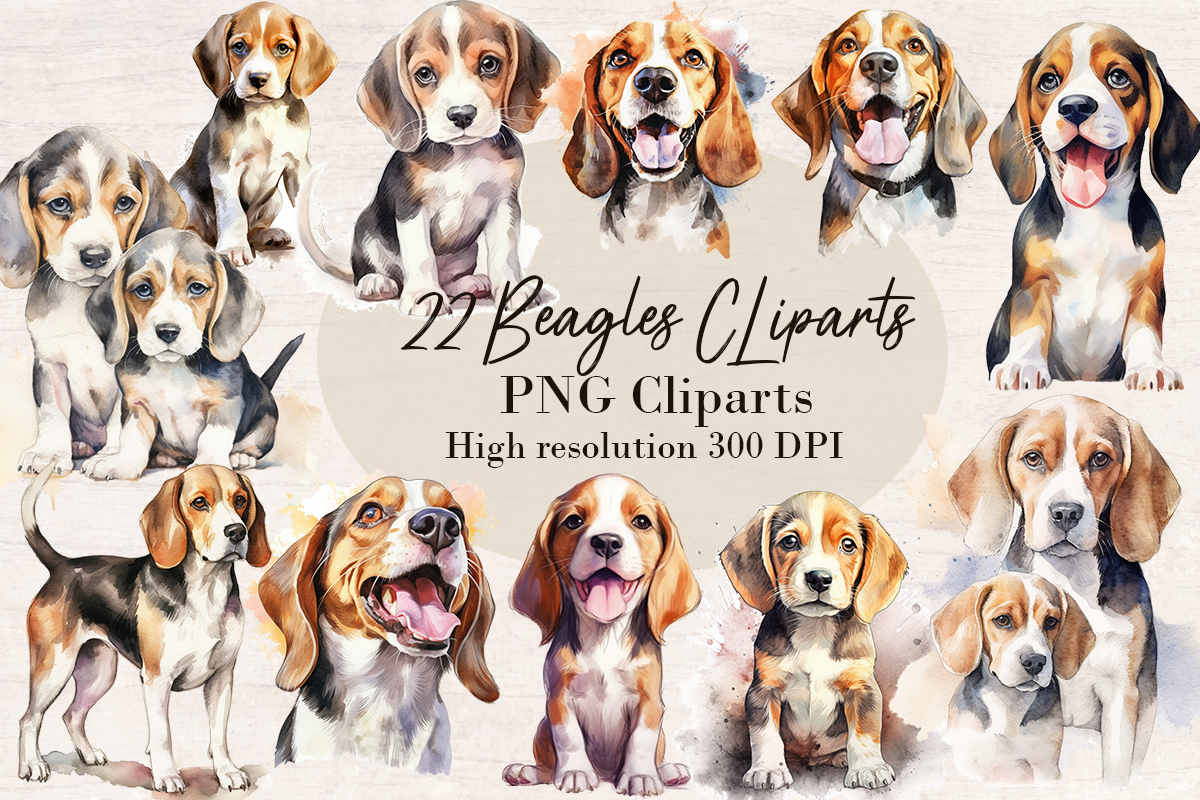 22 Watercolor Beagle Dog PNG cliparts bundle, Dog lover Cliparts