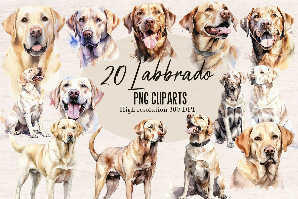20 Watercolor Labbrado Dog PNG cliparts bundle, Dog lover Cliparts
