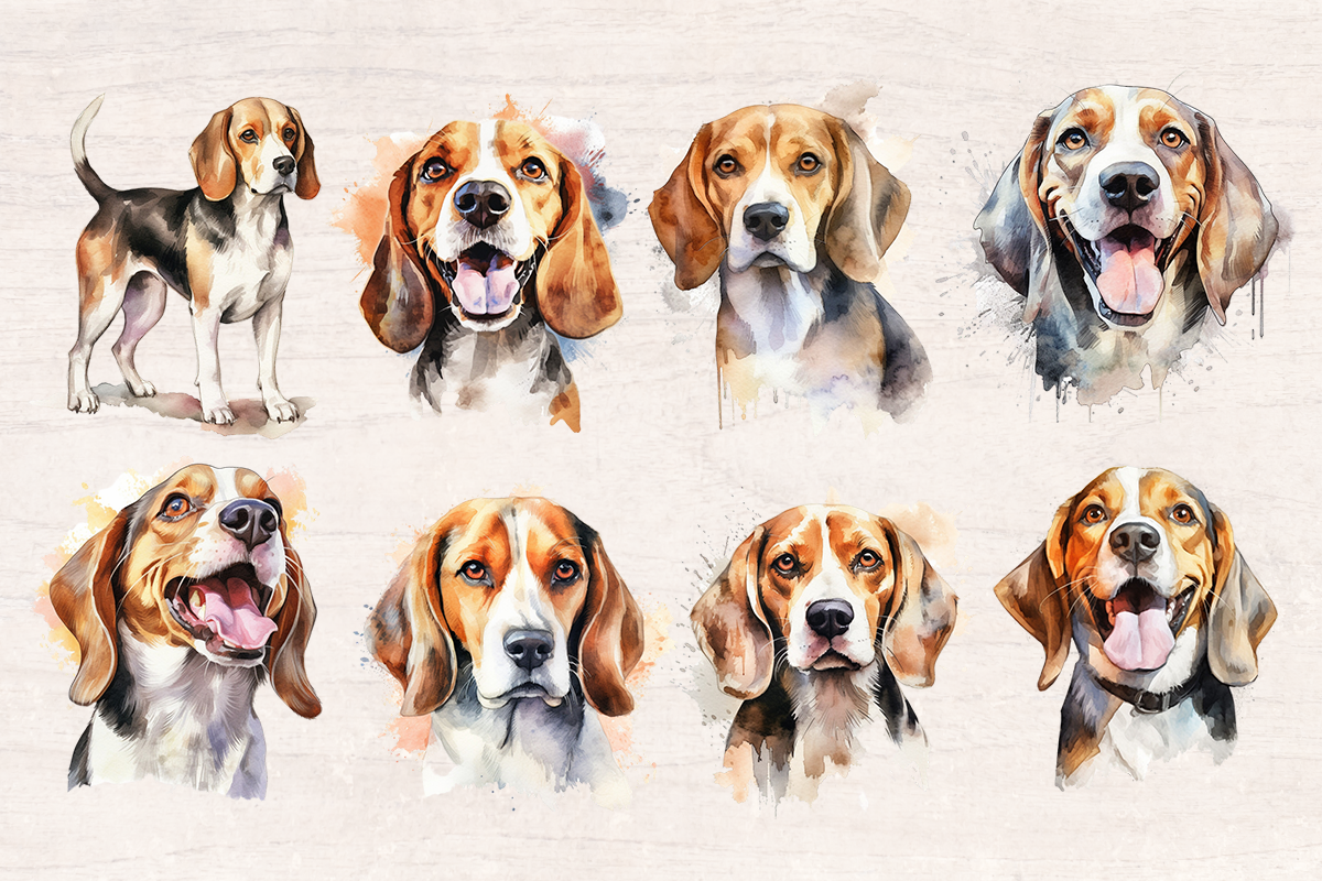 22 Watercolor Beagle Dog PNG cliparts bundle, Dog lover Cliparts
