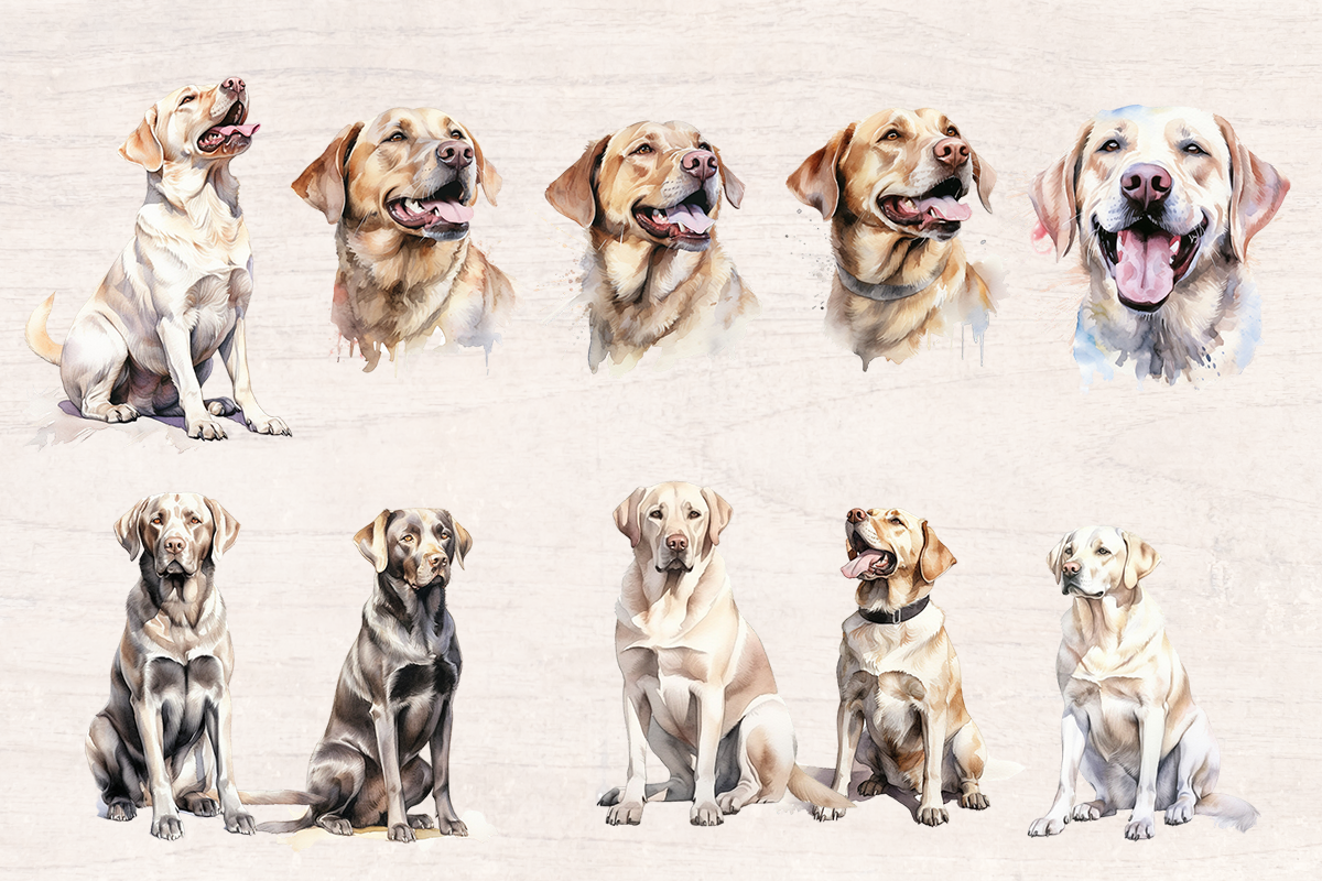 20 Watercolor Labbrado Dog PNG cliparts bundle, Dog lover Cliparts