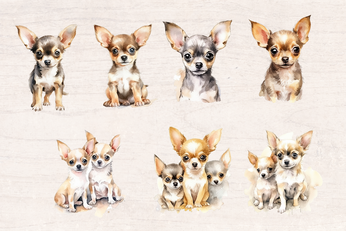 15 Watercolor Chihuahua Dog PNG cliparts bundle, Dog lover Cliparts