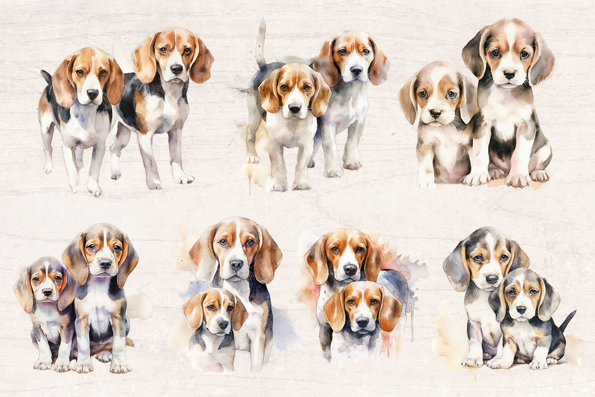 22 Watercolor Beagle Dog PNG cliparts bundle, Dog lover Cliparts