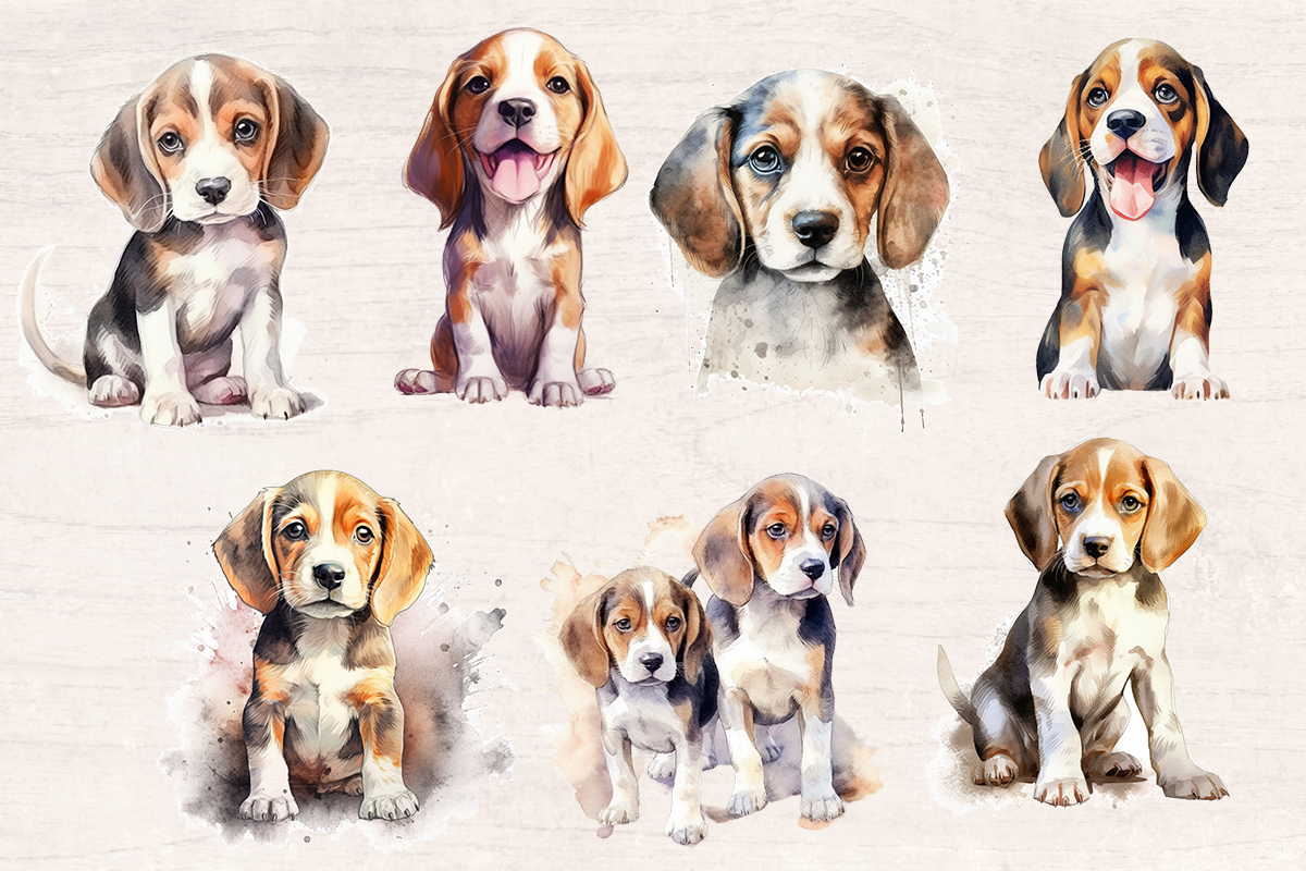22 Watercolor Beagle Dog PNG cliparts bundle, Dog lover Cliparts