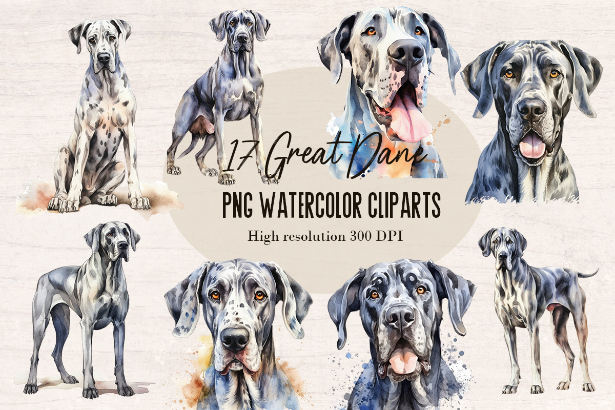 17 Watercolor Great Dane Dog and Puppy PNG cliparts bundle, Dog lover Cliparts