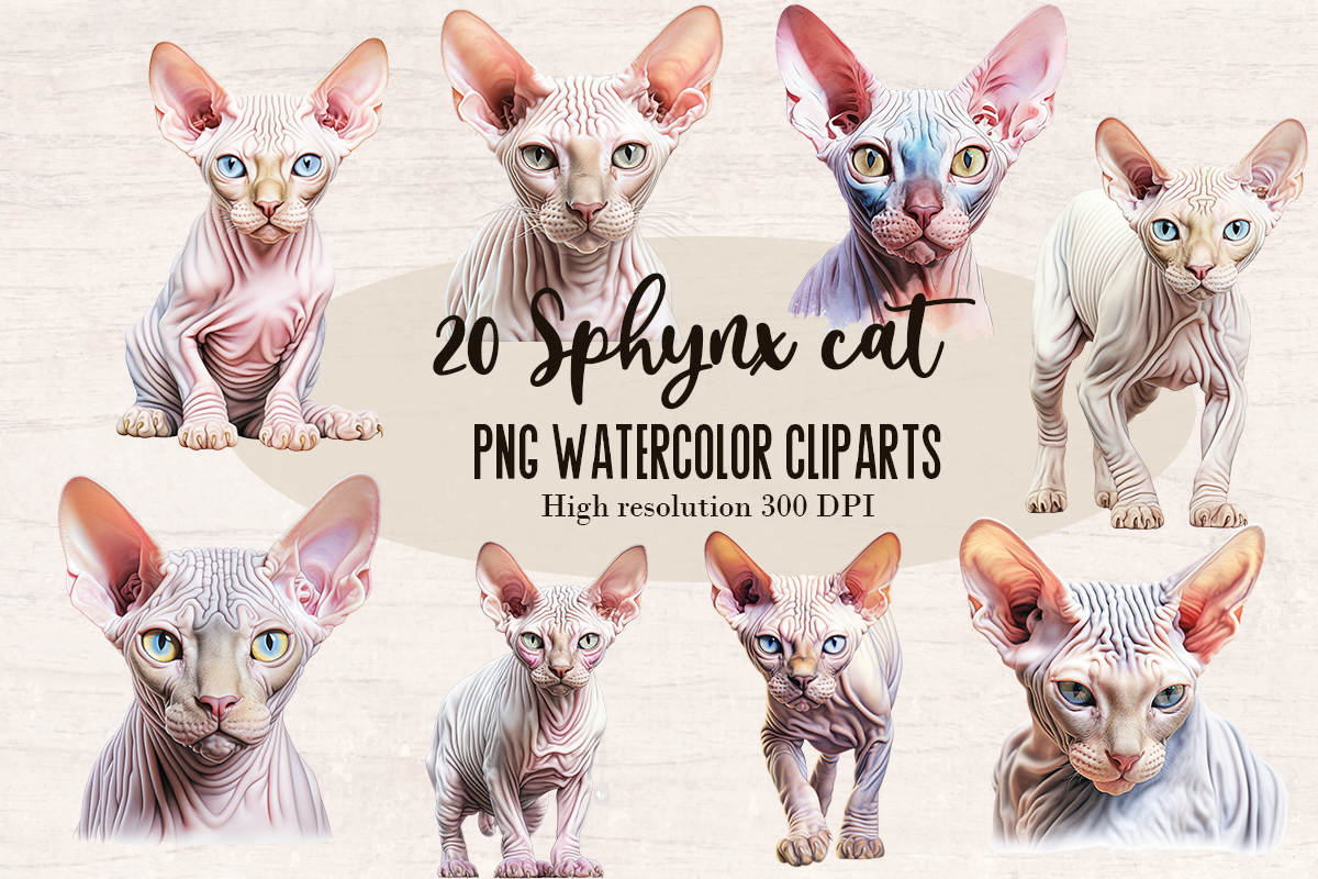 20 Watercolor Sphynx cat PNG cliparts bundle, Cat lover Cliparts