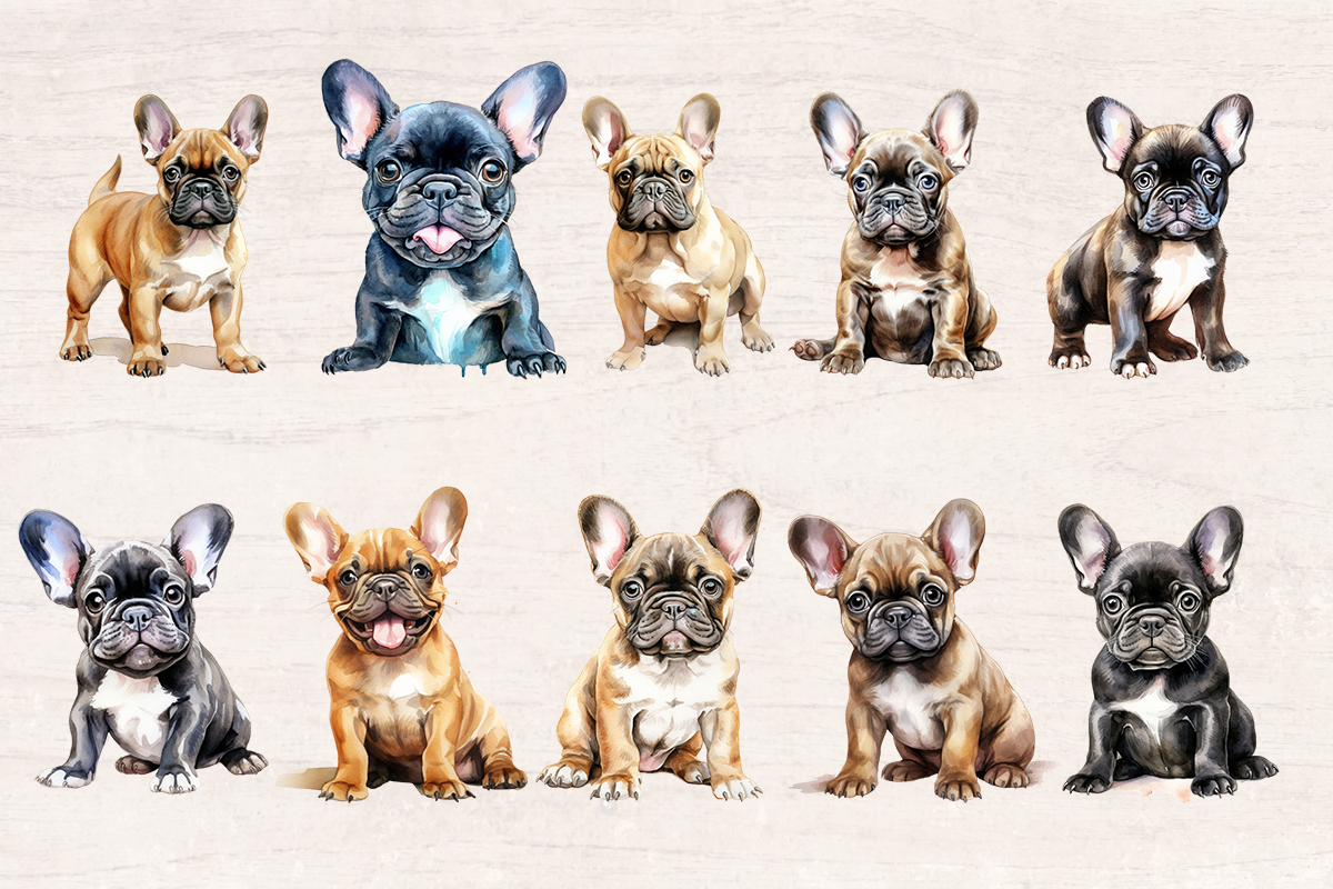 20 Watercolor French Bulldog Dog and Puppy PNG cliparts bundle, Dog lover Cliparts