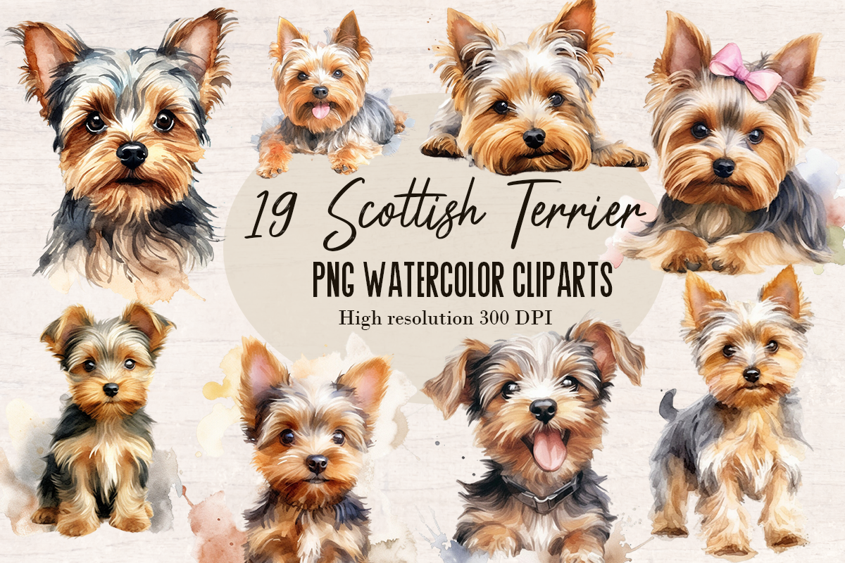 19 Watercolor Scottish Terrier Dog PNG cliparts bundle, Dog lover Cliparts