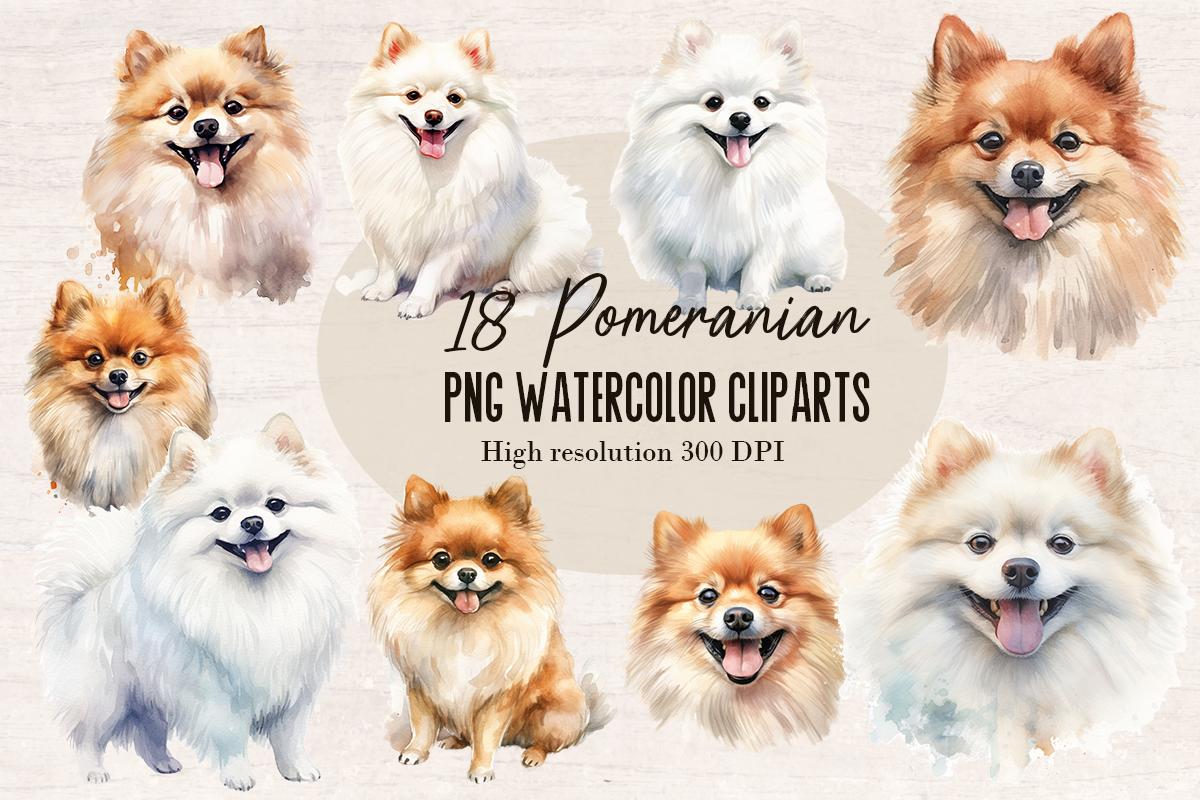 18 Watercolor Pomeranian Dog PNG cliparts bundle, Dog lover Cliparts