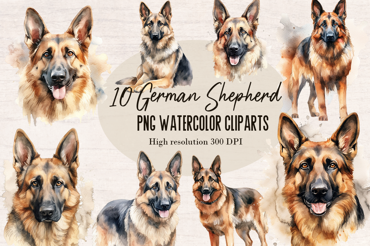 10 Watercolor German Shepherd Dog and Puppy PNG cliparts bundle, Dog lover Cliparts