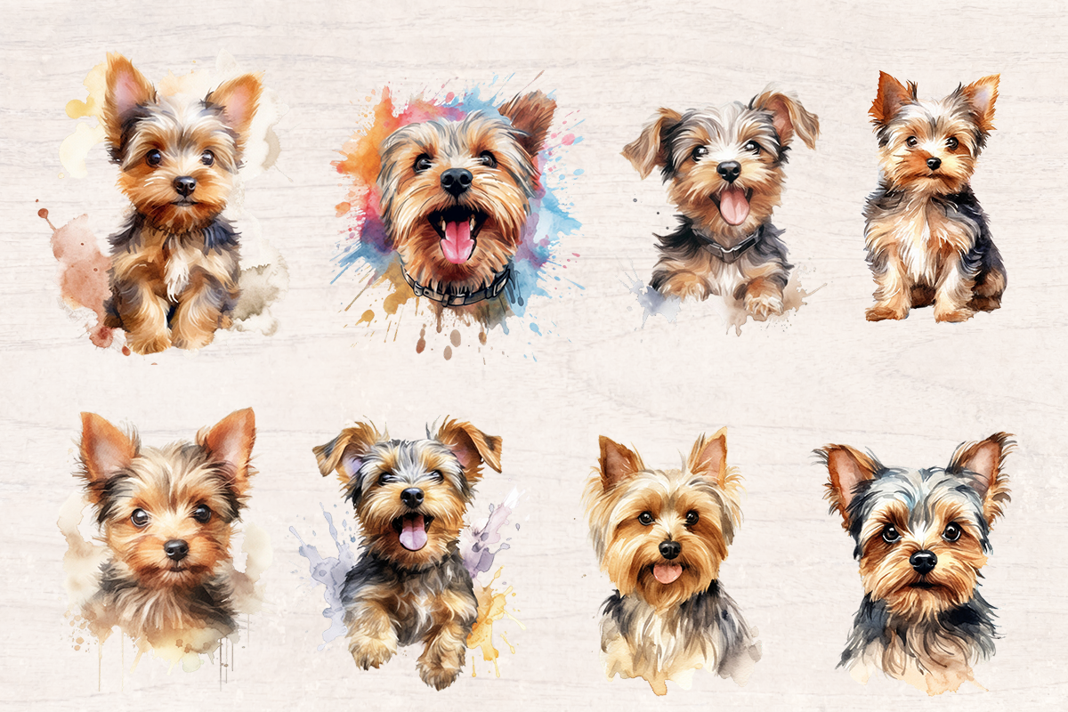 19 Watercolor Scottish Terrier Dog PNG cliparts bundle, Dog lover Cliparts