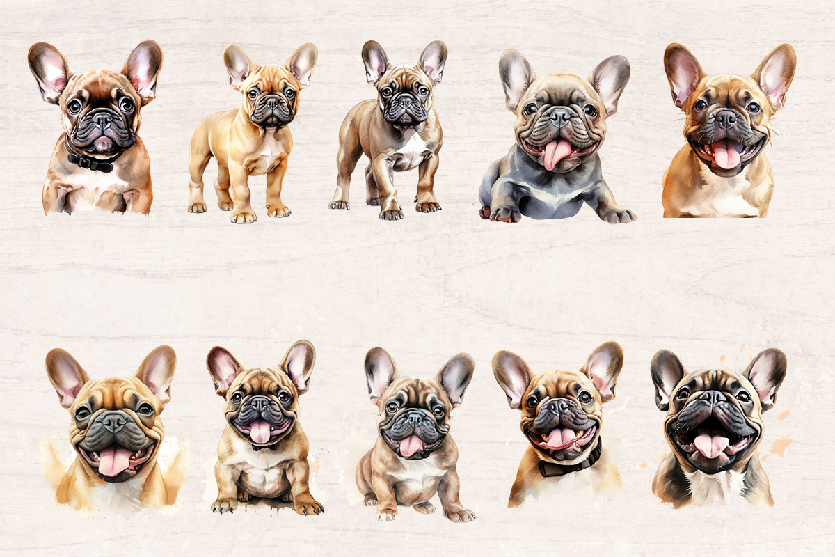 20 Watercolor French Bulldog Dog and Puppy PNG cliparts bundle, Dog lover Cliparts