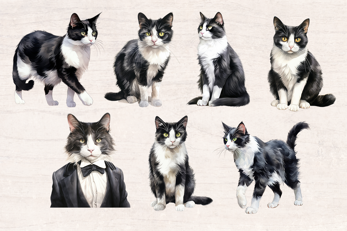 14 Watercolor Tuxedo cat Cat PNG cliparts bundle, Cat lover Cliparts