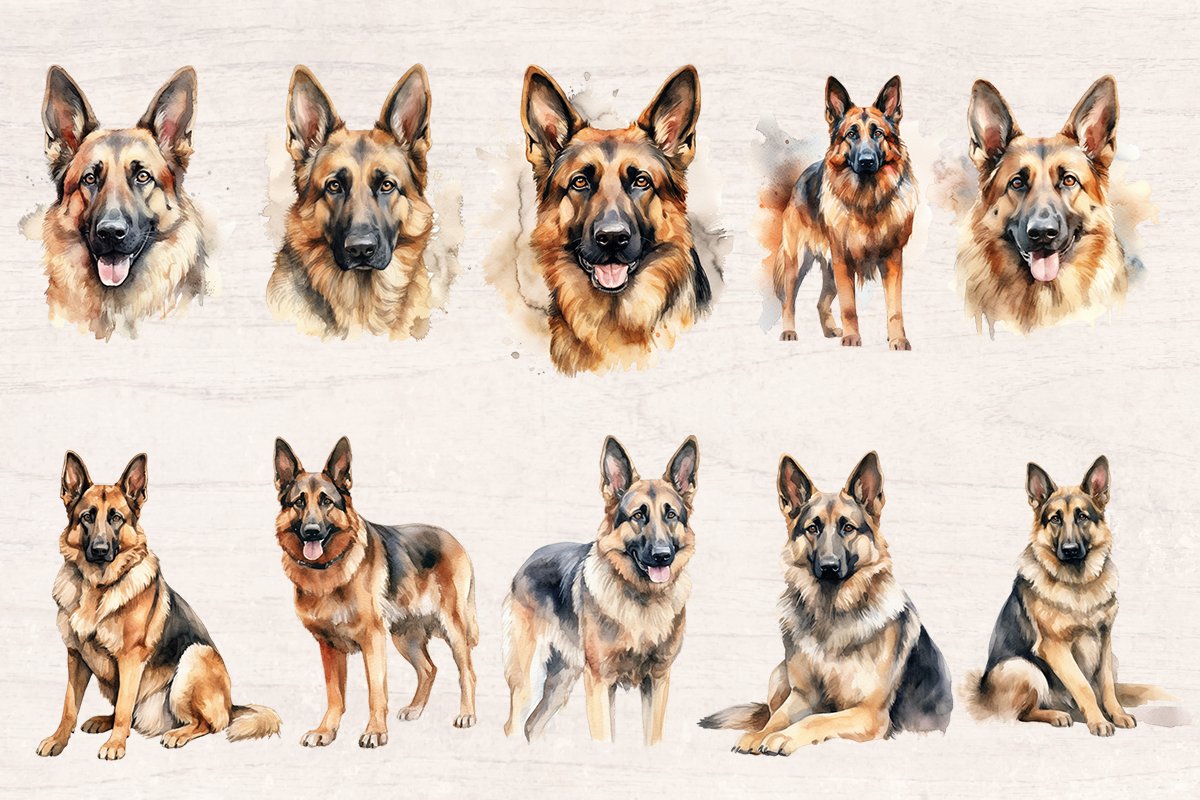 10 Watercolor German Shepherd Dog and Puppy PNG cliparts bundle, Dog lover Cliparts