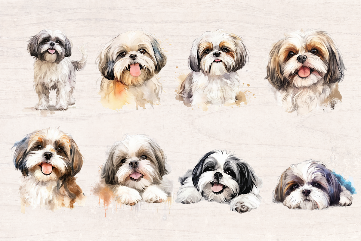 16 Watercolor Shih tzu Dog PNG cliparts bundle, Dog lover Cliparts
