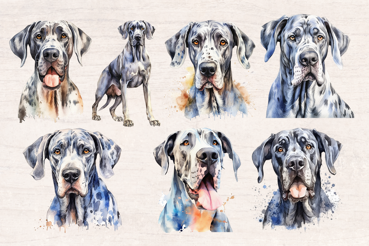 17 Watercolor Great Dane Dog and Puppy PNG cliparts bundle, Dog lover Cliparts