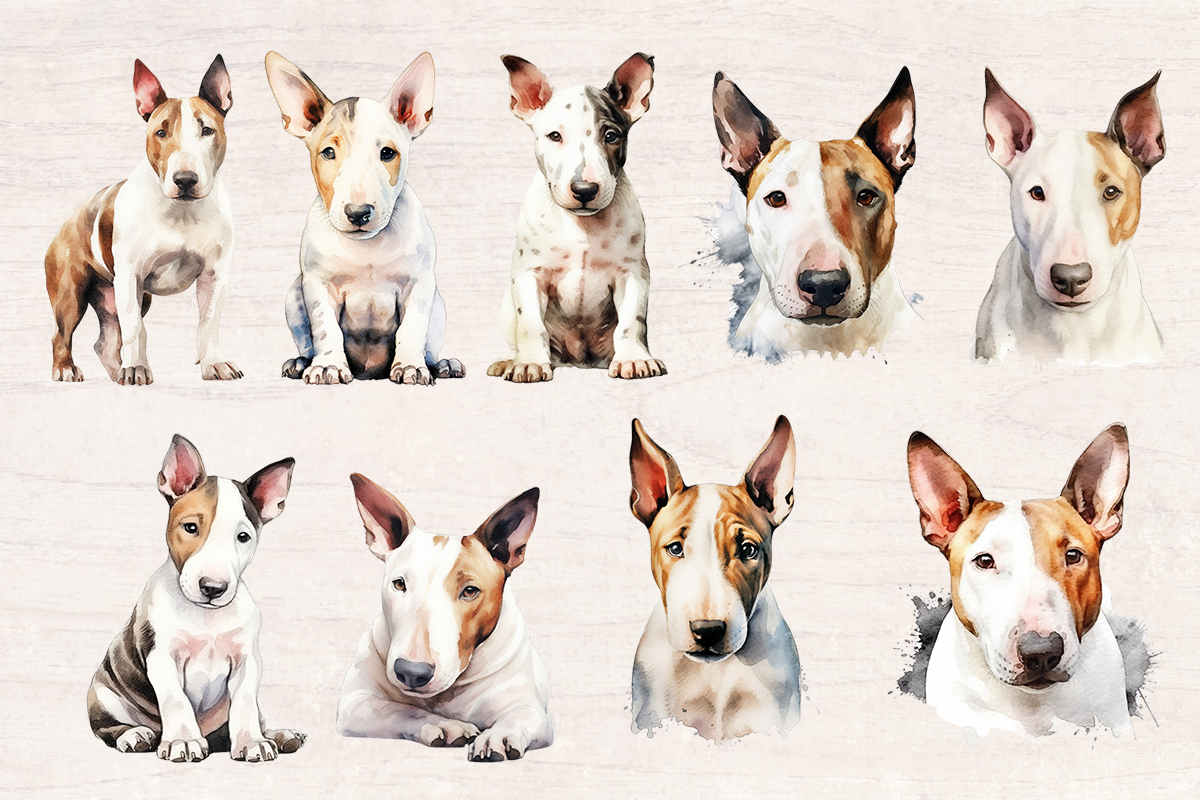 17 Watercolor Blue Terrier Dog PNG cliparts bundle, Dog lover Cliparts