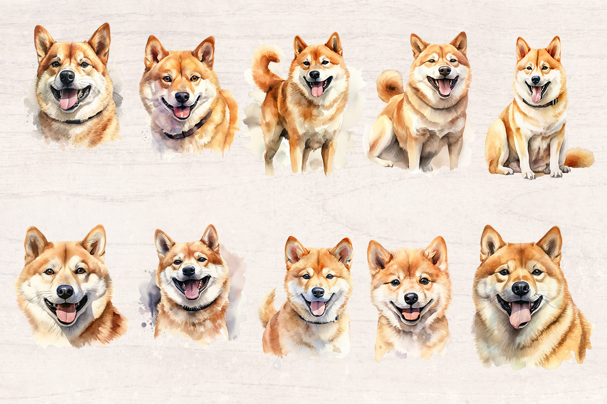 20 Watercolor Shiba inu Dog PNG cliparts bundle, Dog lover Cliparts