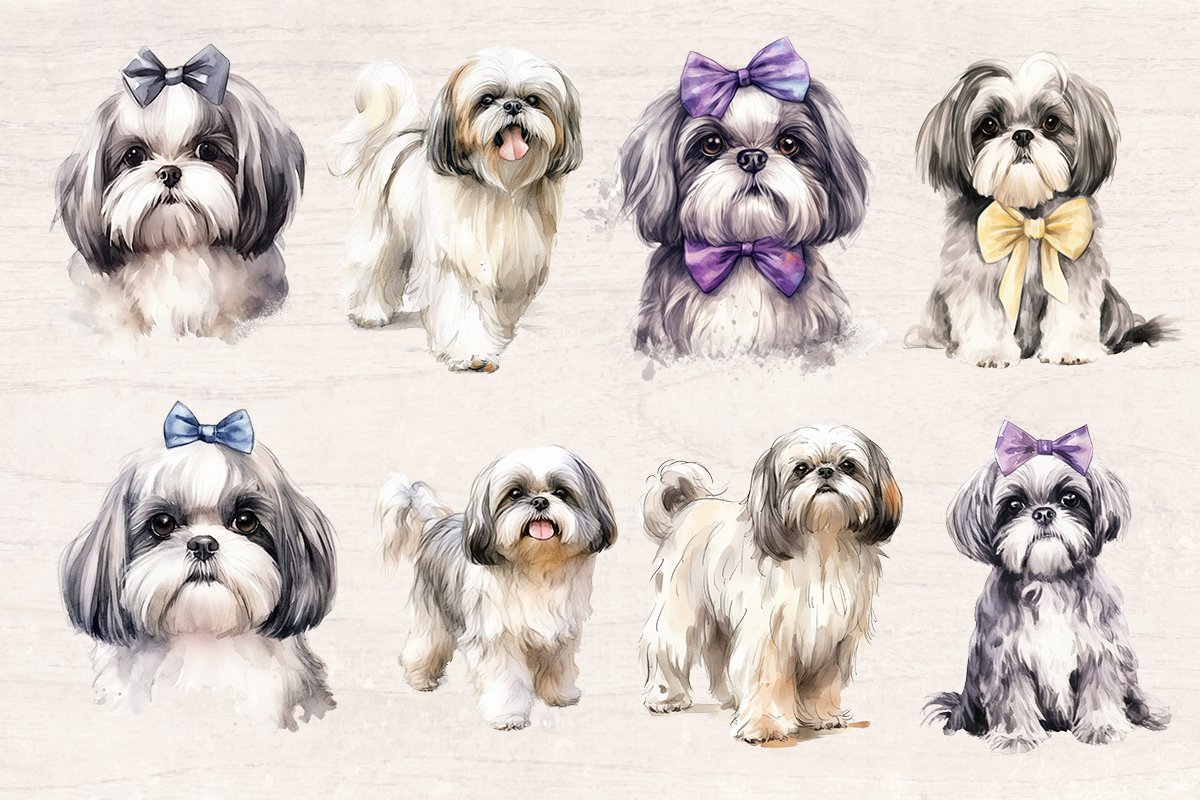 16 Watercolor Shih tzu Dog PNG cliparts bundle, Dog lover Cliparts