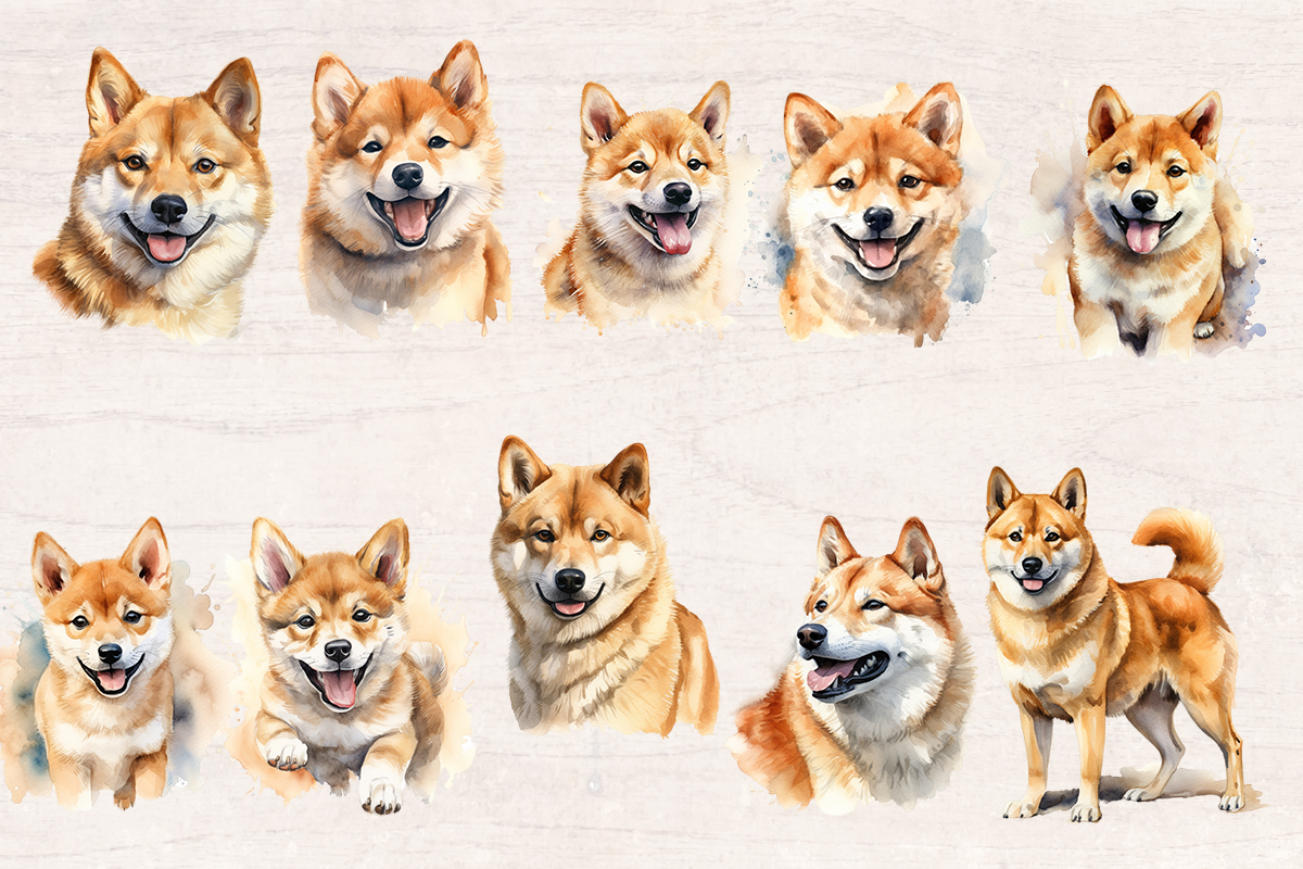 20 Watercolor Shiba inu Dog PNG cliparts bundle, Dog lover Cliparts