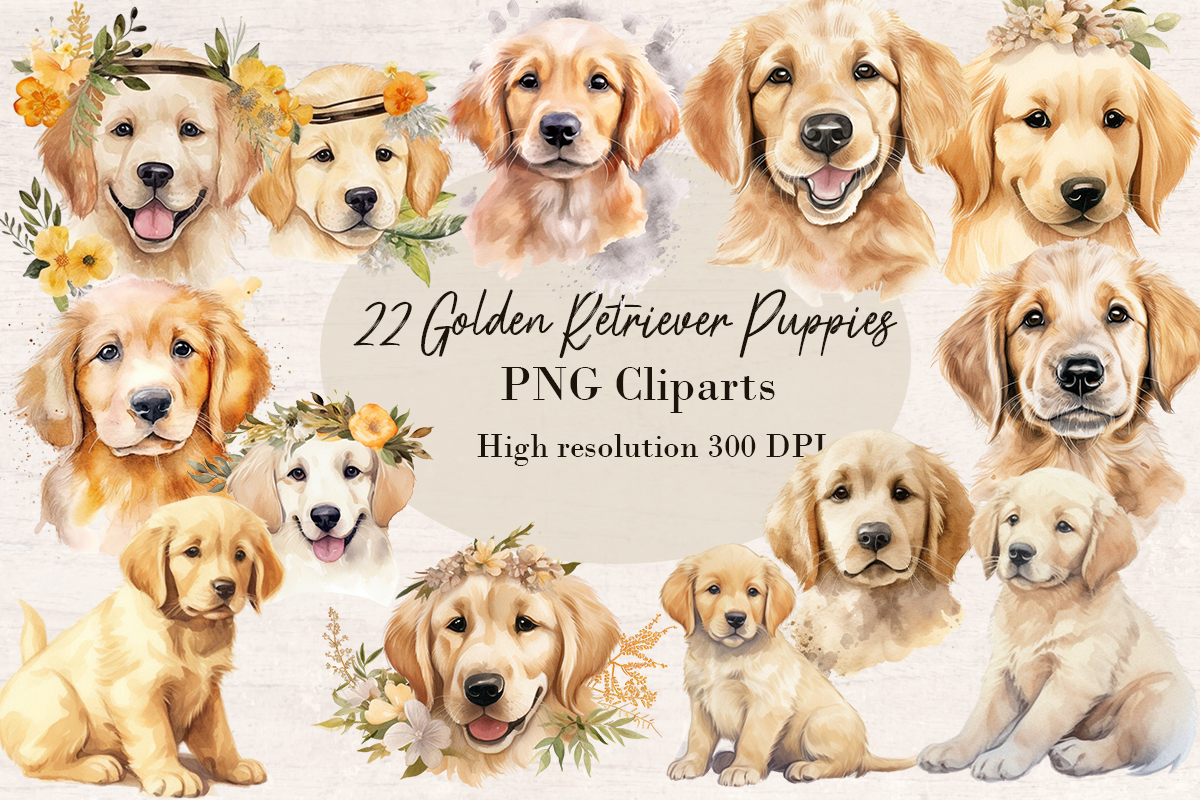 22 Watercolor Golden Retriever Puppy PNG cliparts bundle, Dog lover Cliparts