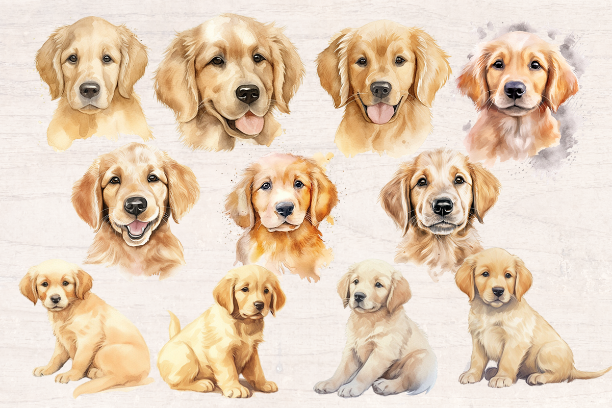 22 Watercolor Golden Retriever Puppy PNG cliparts bundle, Dog lover Cliparts