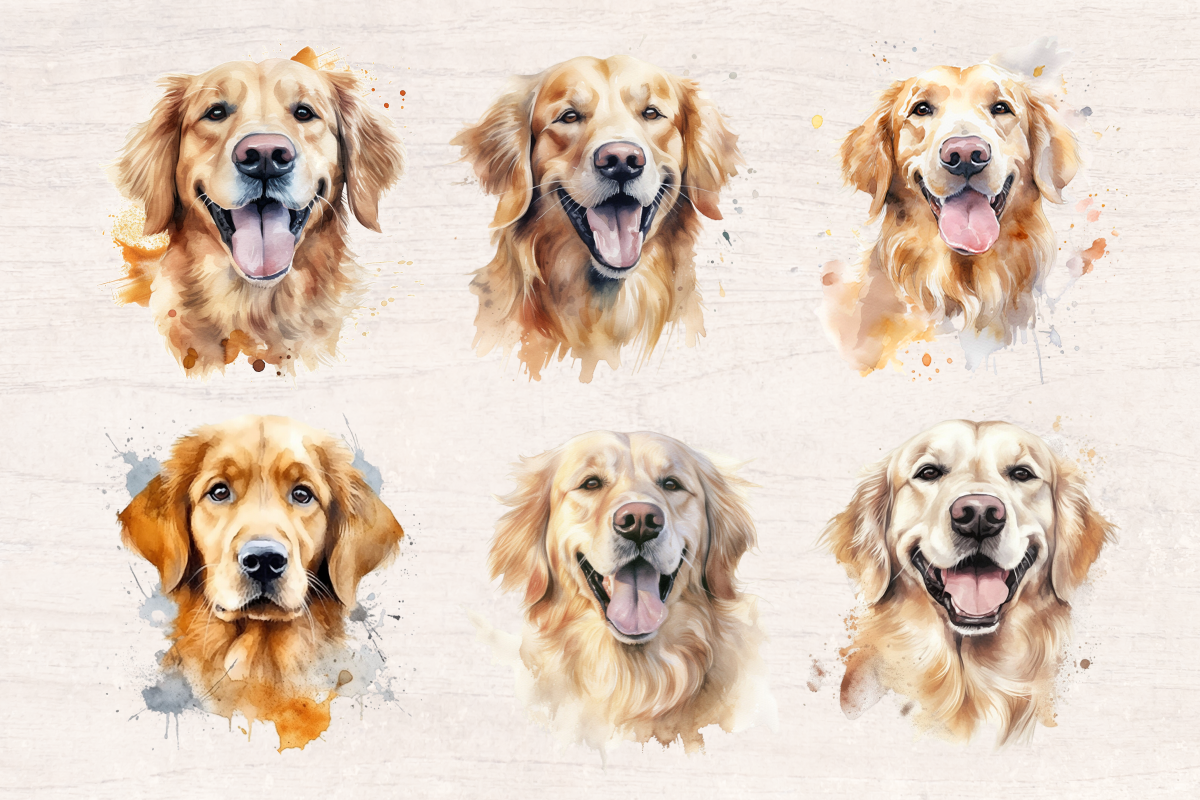 12 Watercolor Golden Retriever Dog and Puppy PNG cliparts bundle, Dog lover Cliparts