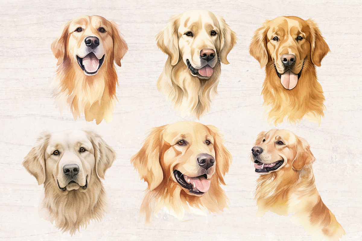 12 Watercolor Golden Retriever Dog and Puppy PNG cliparts bundle, Dog lover Cliparts