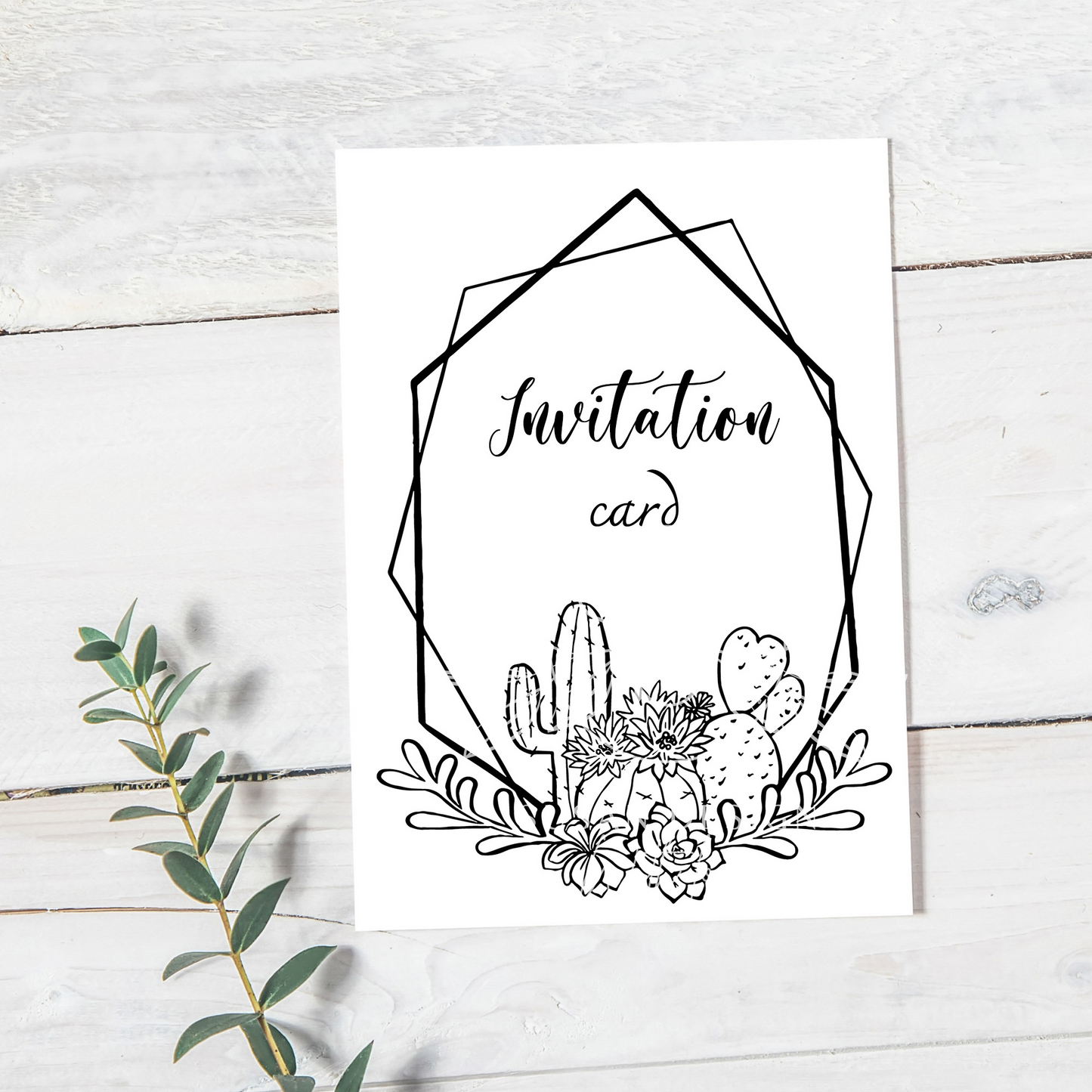 Cactus and Succulent plant Outline frame SVG Bundle