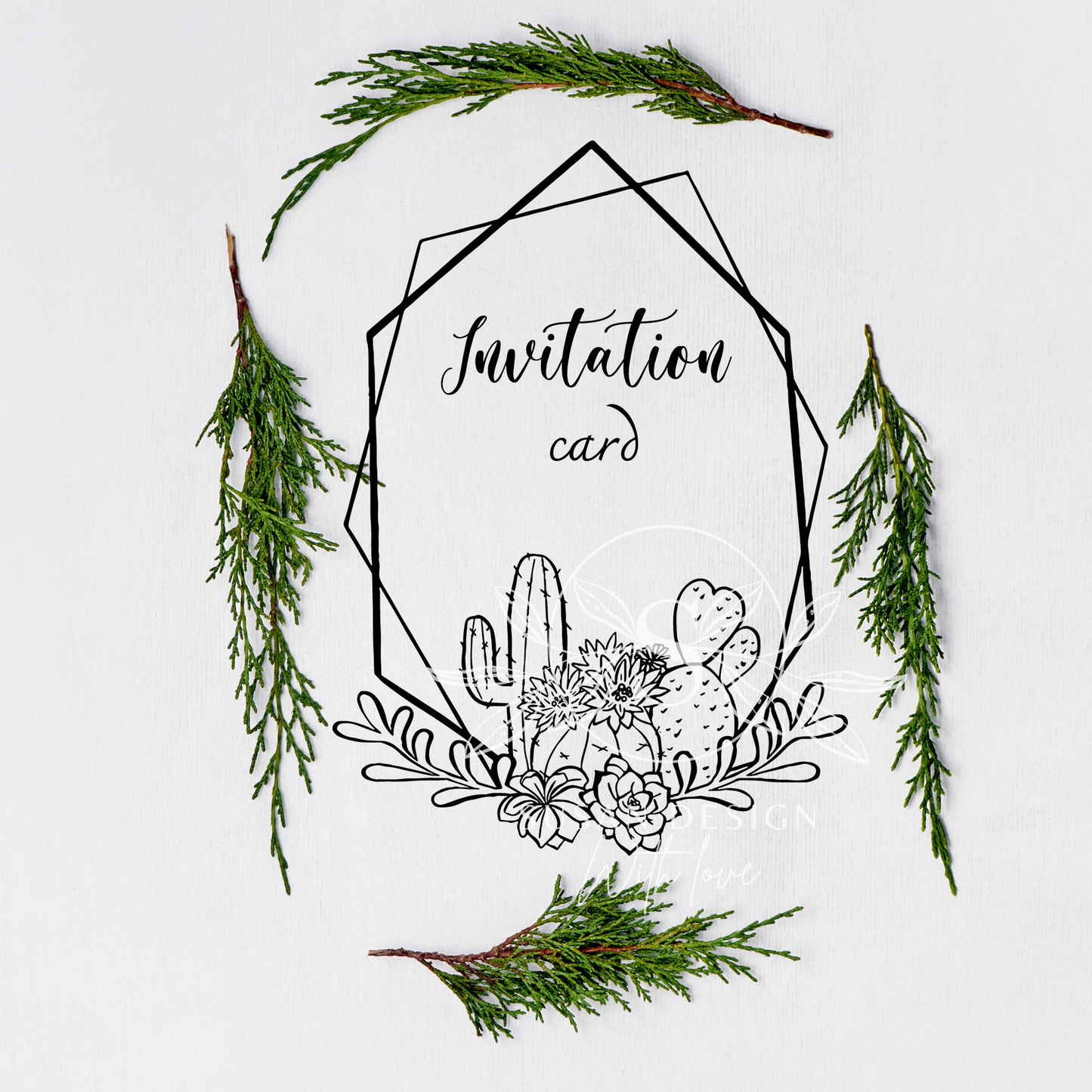 Cactus and Succulent plant Outline frame SVG Bundle