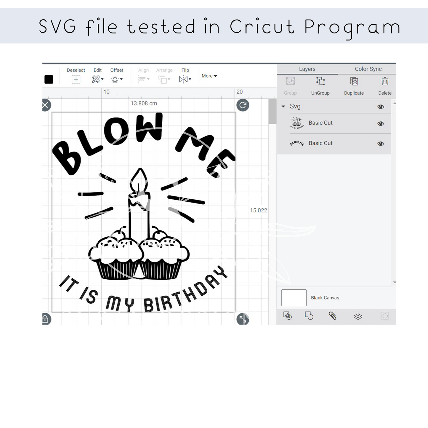 Blow me, It is my Birthday SVG