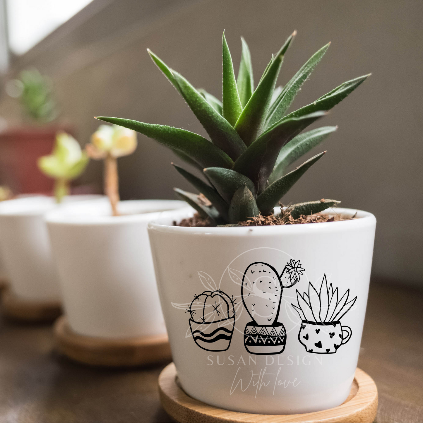 Cactus and Succulent plant Outline SVG Bundle