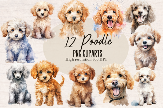 12 Watercolor Poodle Dog PNG cliparts bundle, Dog lover Cliparts