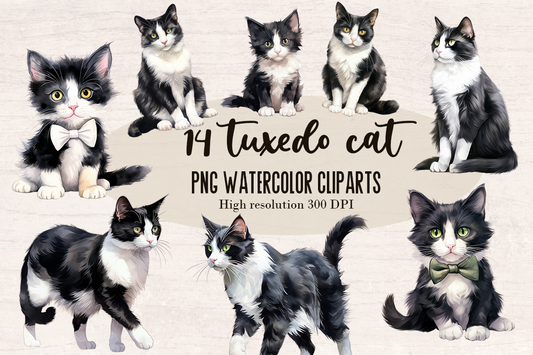 14 Watercolor Tuxedo cat Cat PNG cliparts bundle, Cat lover Cliparts