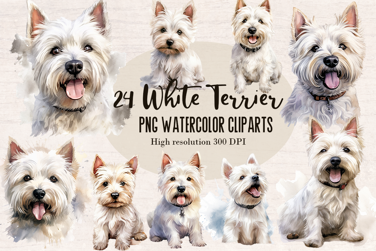 24 Watercolor White terrier Dog PNG cliparts bundle, Dog lover Cliparts