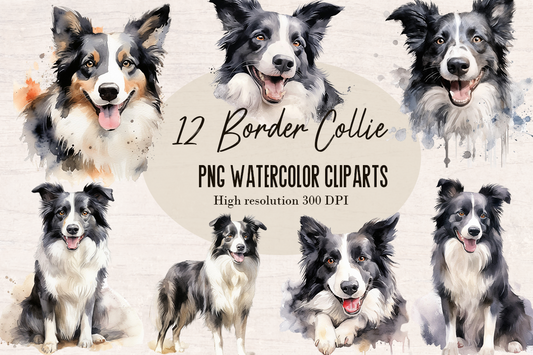 12 Watercolor Border Collie Dog PNG cliparts bundle, Dog lover Cliparts