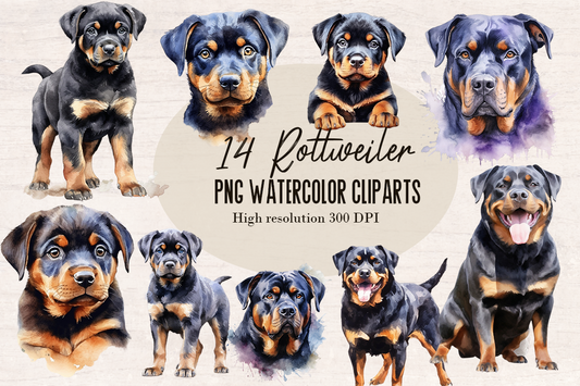 14 Watercolor Rottweiler Dog and puppy PNG cliparts bundle, Dog lover Cliparts