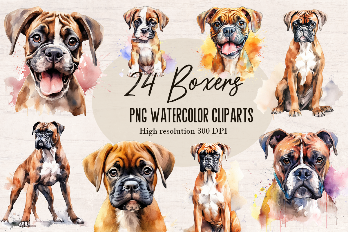 24 Watercolor Boxer Dog PNG cliparts bundle, Dog lover Cliparts