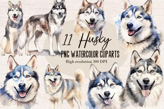 11 Watercolor Husky Dog PNG cliparts bundle, Dog lover Cliparts