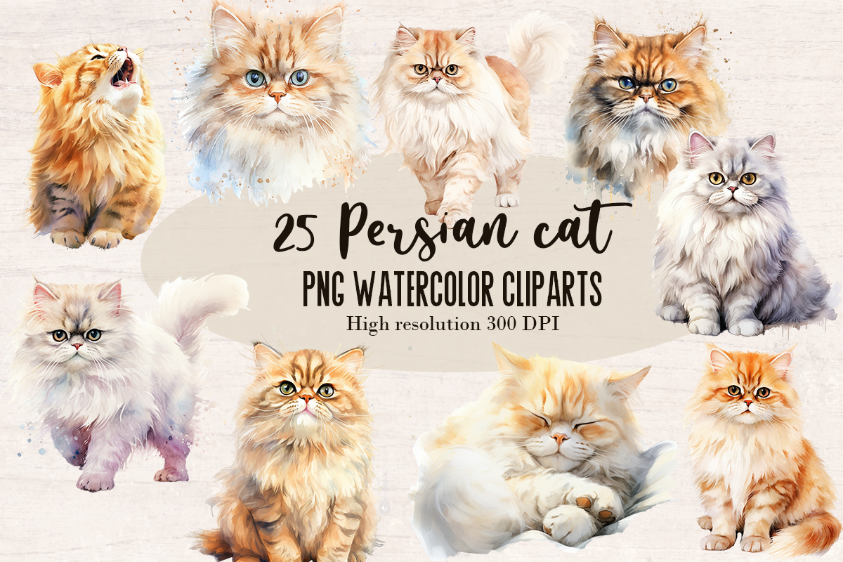 25 Watercolor Persian cat PNG cliparts bundle, Cat lover Cliparts