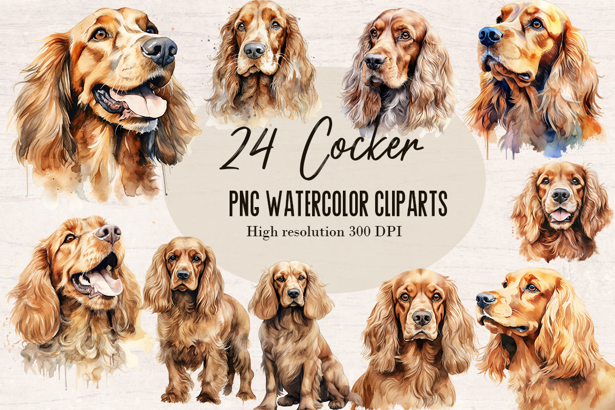 24 Watercolor Cocker Dog PNG cliparts bundle, Dog lover Cliparts