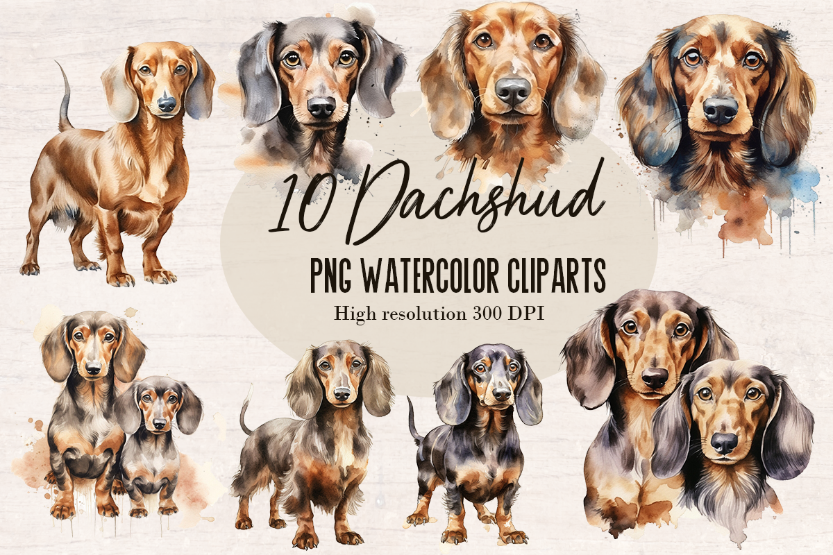 10 Watercolor Dachshund Dog and Puppy PNG cliparts bundle, Dog lover Cliparts