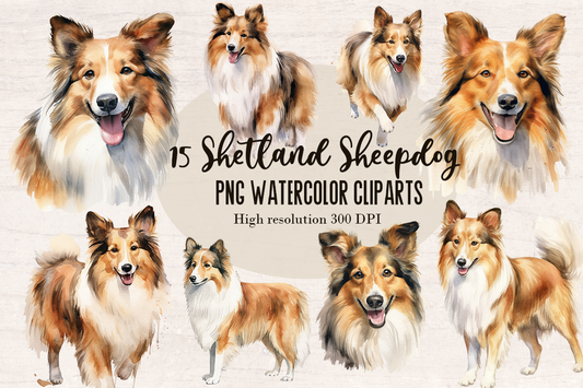 15 Watercolor Shetland Sheepdog Dog and puppy PNG cliparts bundle, Dog lover Cliparts