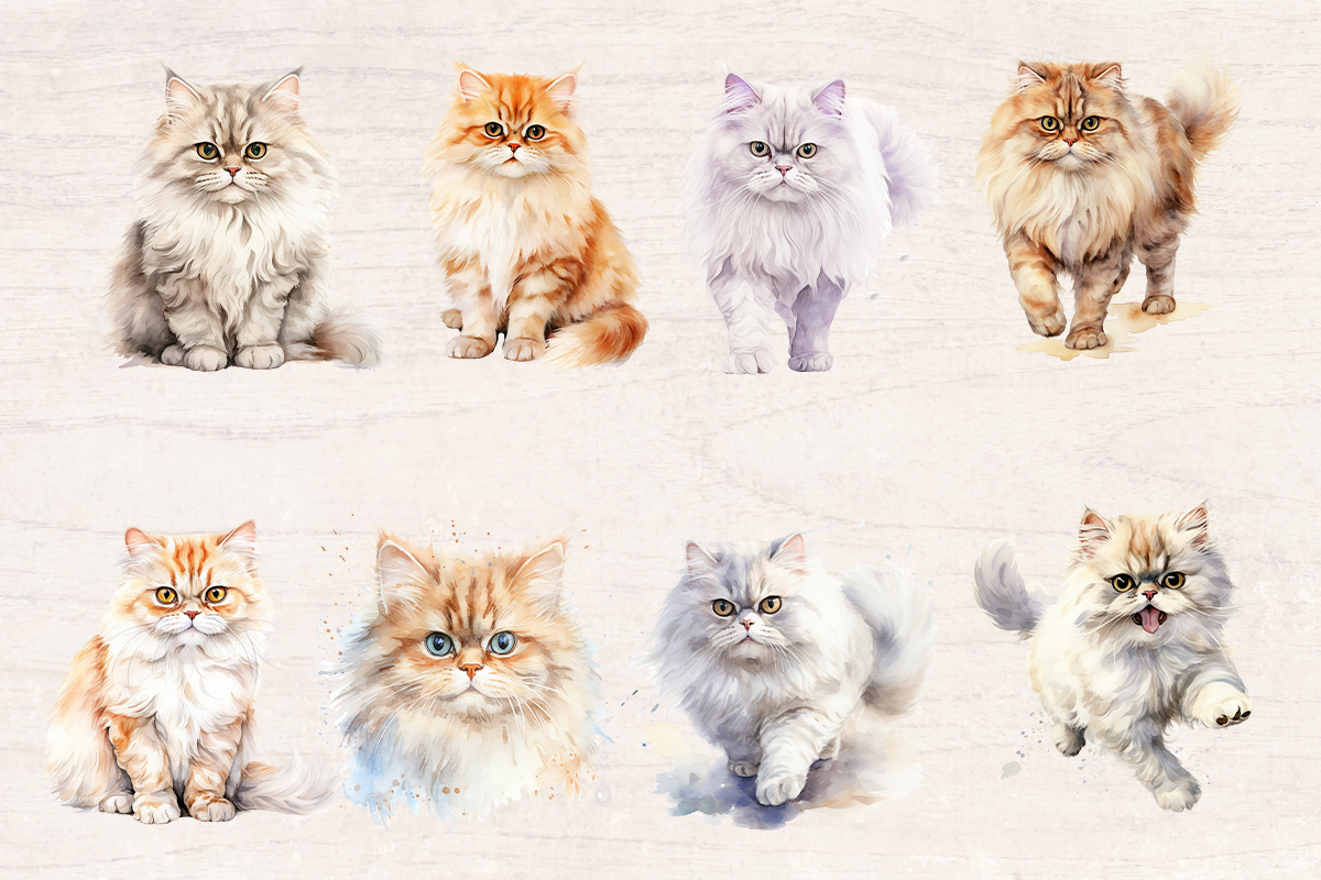 25 Watercolor Persian cat PNG cliparts bundle, Cat lover Cliparts