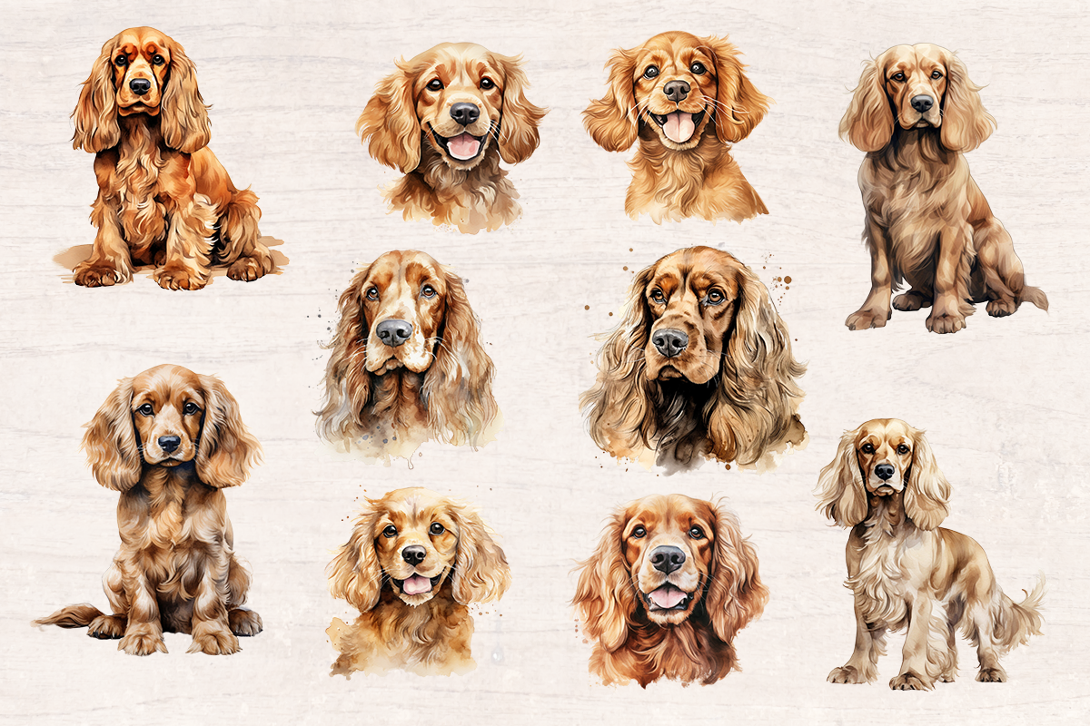 24 Watercolor Cocker Dog PNG cliparts bundle, Dog lover Cliparts