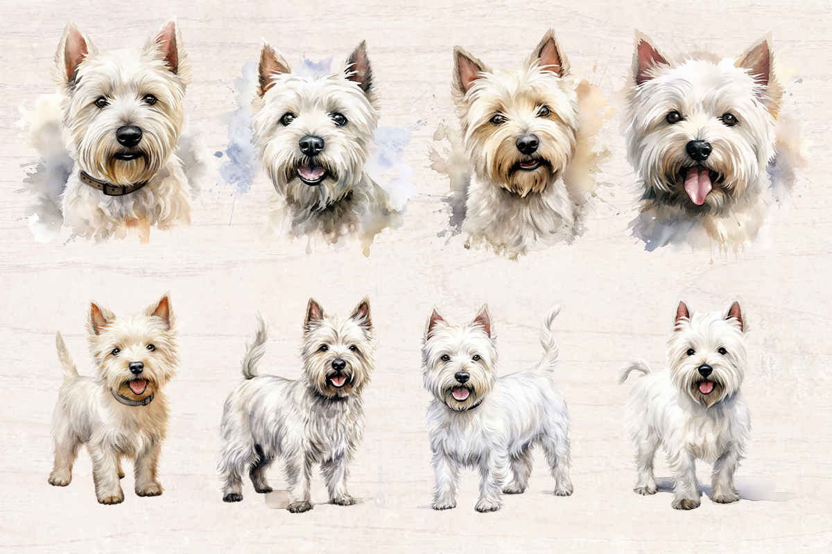 24 Watercolor White terrier Dog PNG cliparts bundle, Dog lover Cliparts