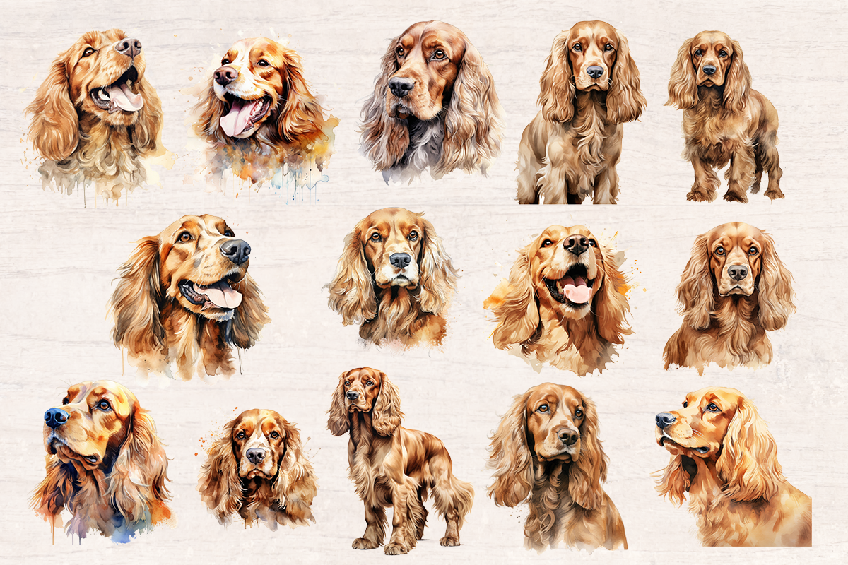 24 Watercolor Cocker Dog PNG cliparts bundle, Dog lover Cliparts