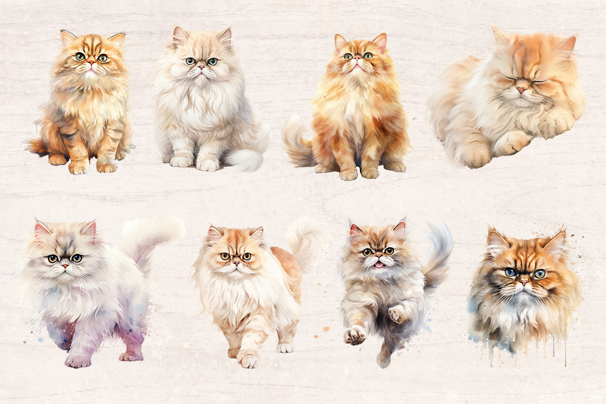 25 Watercolor Persian cat PNG cliparts bundle, Cat lover Cliparts