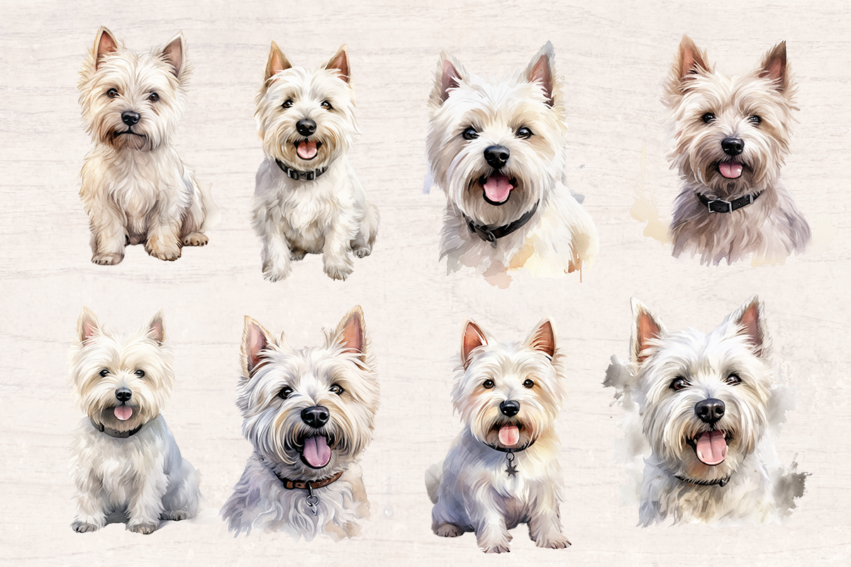 24 Watercolor White terrier Dog PNG cliparts bundle, Dog lover Cliparts