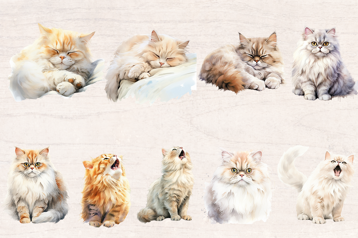 25 Watercolor Persian cat PNG cliparts bundle, Cat lover Cliparts