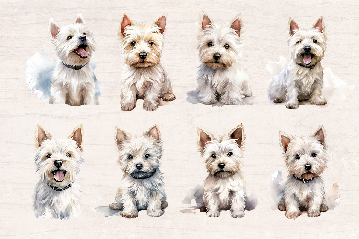 24 Watercolor White terrier Dog PNG cliparts bundle, Dog lover Cliparts